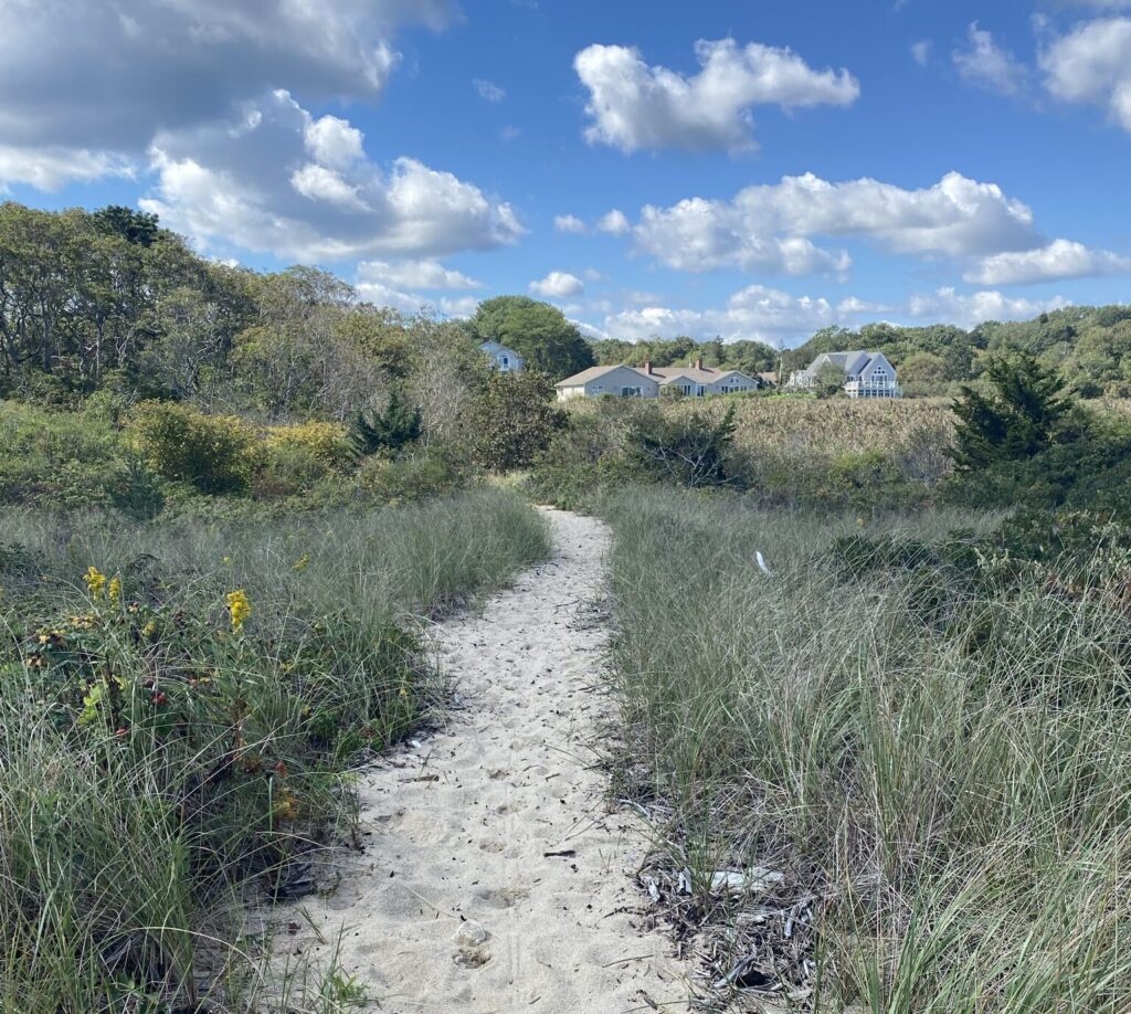 sand path to the beach in plymoith ma