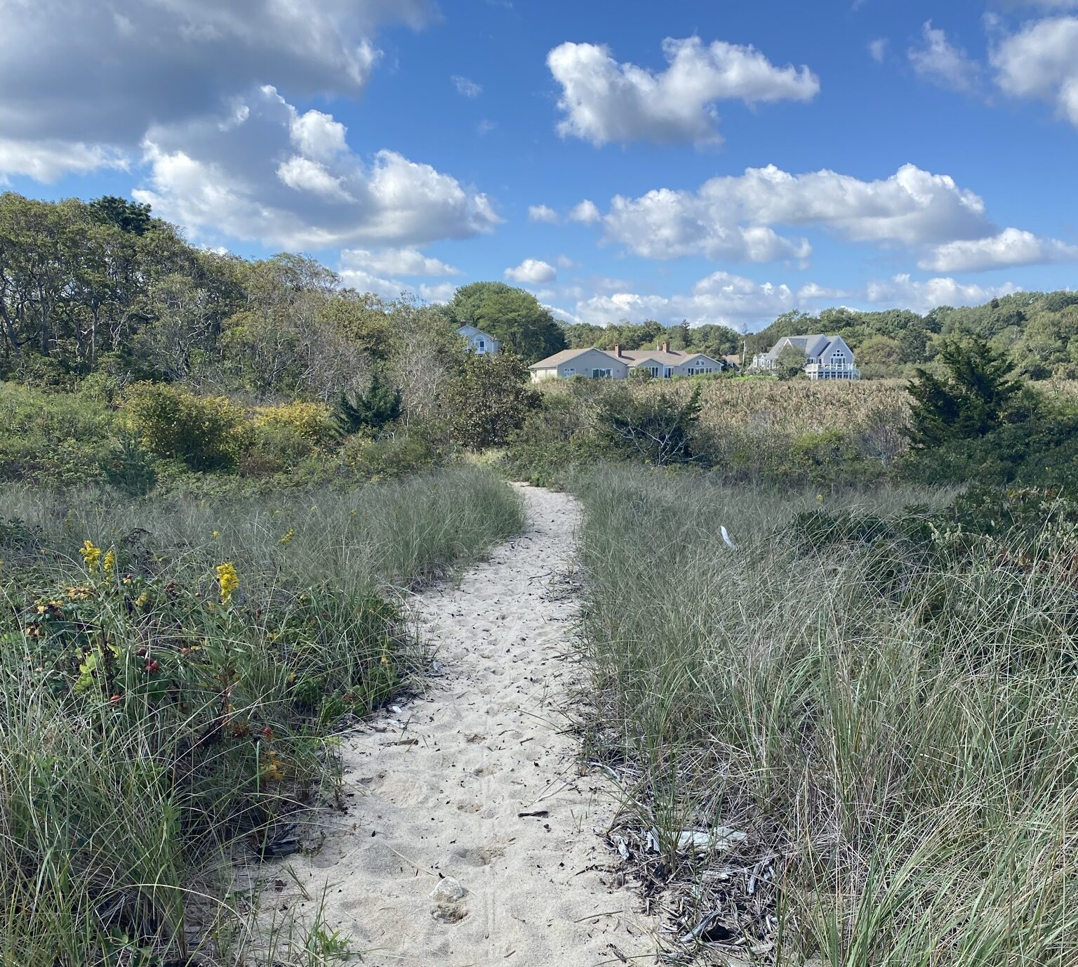 sand path to the beach in plymoith ma
