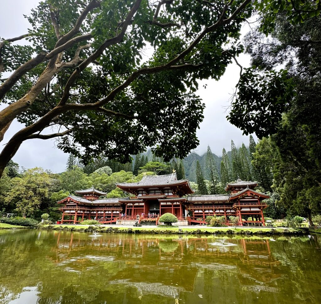 byodo-in temple oahu hawaii framed by tree