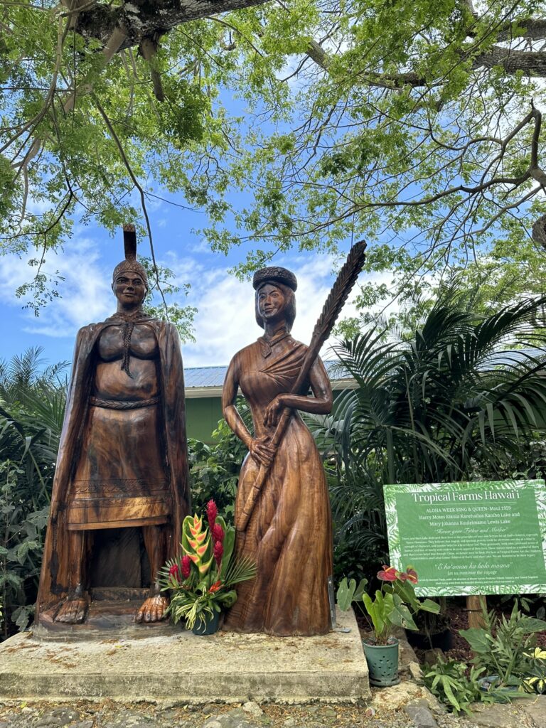 mac nut farm oahu hawaii