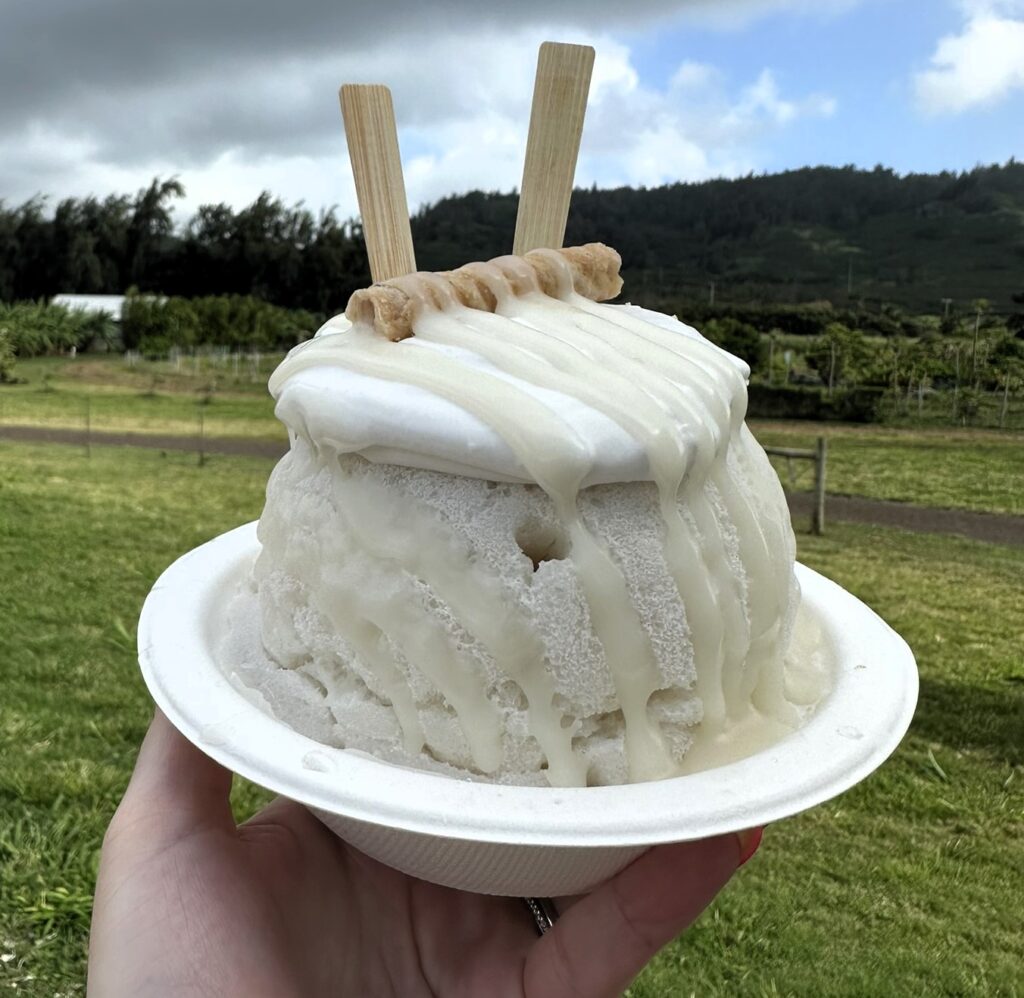 kula shave ice oahu coco nutty