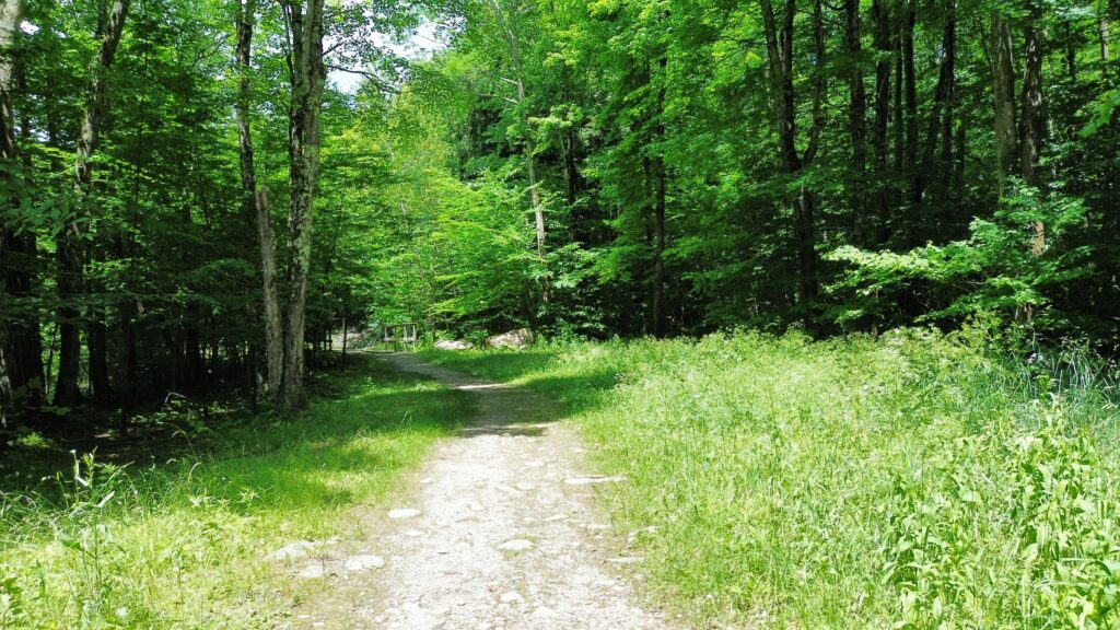 back trails at smugglers notch vermont