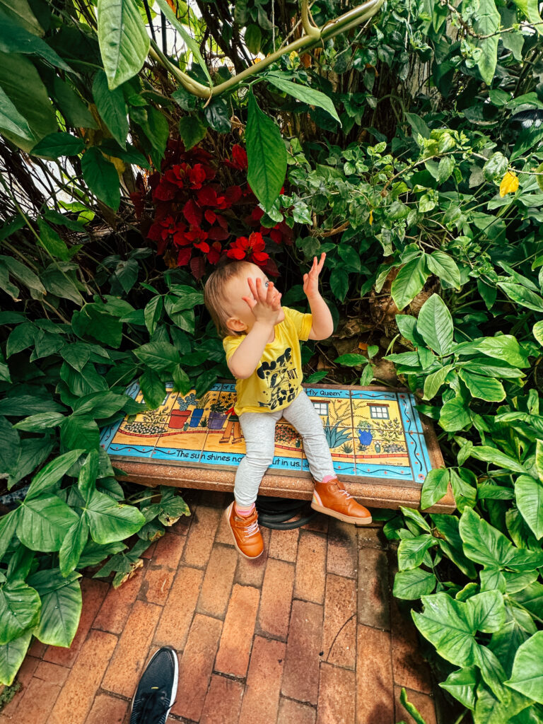 baby toddler at tucson botanicl agardens