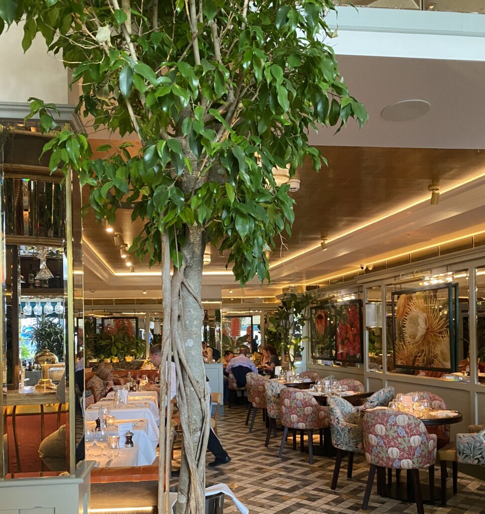 the ivy restaurant cardiff wales