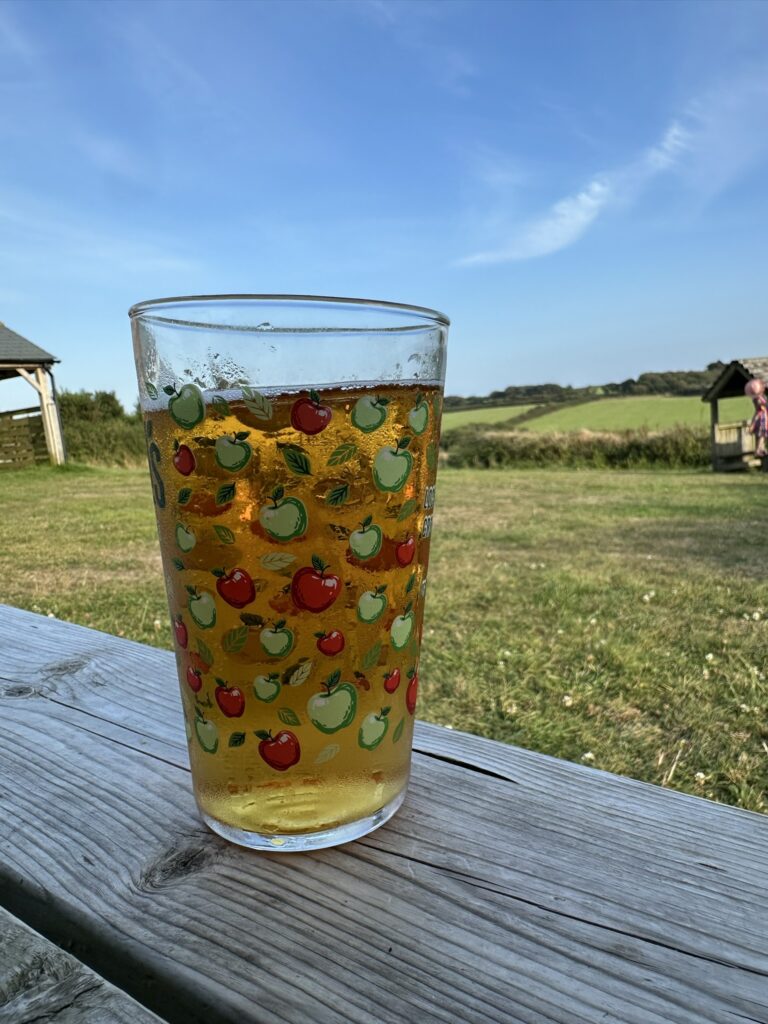 pint of had cider at the Bush Inn