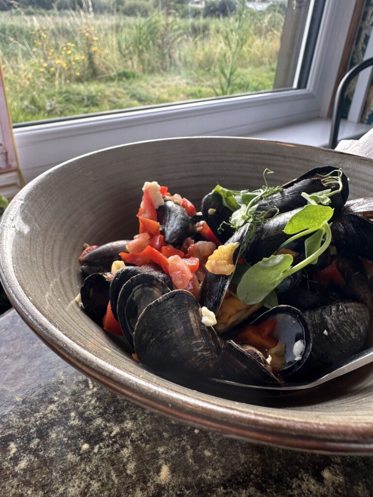mussles tapas at the bank in cornwa bude uk