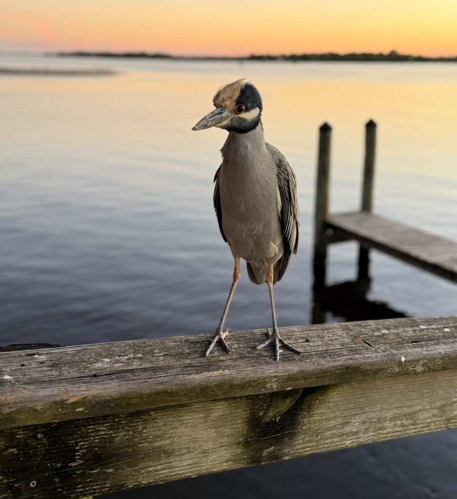 kevin at out deck below port orange