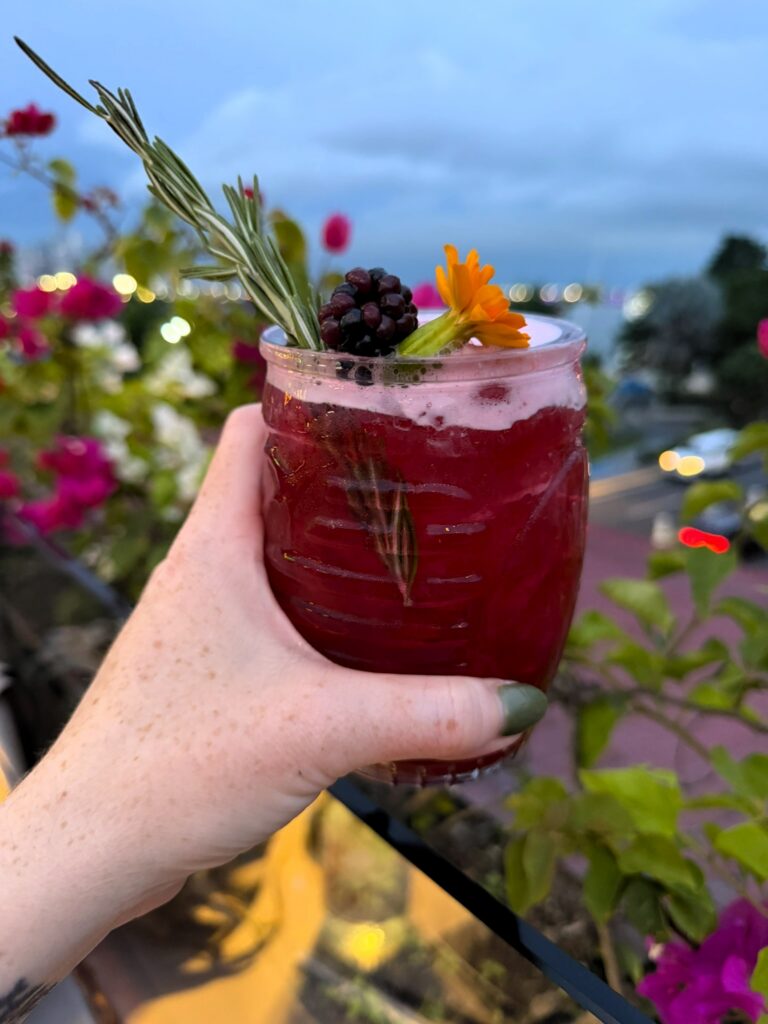 lazotea cocktail rooftop bar panama city