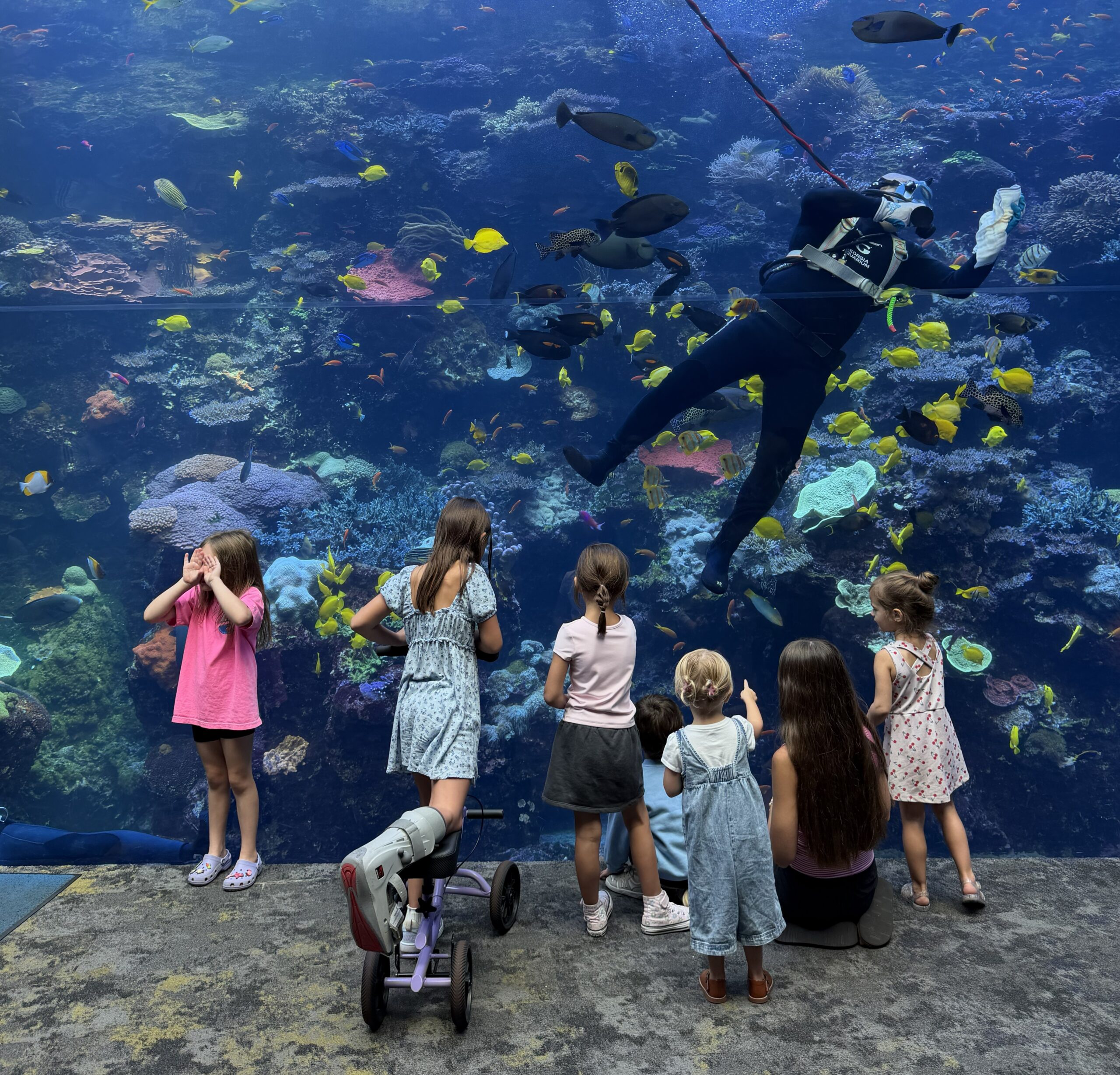 atlanta aquarium on citypass